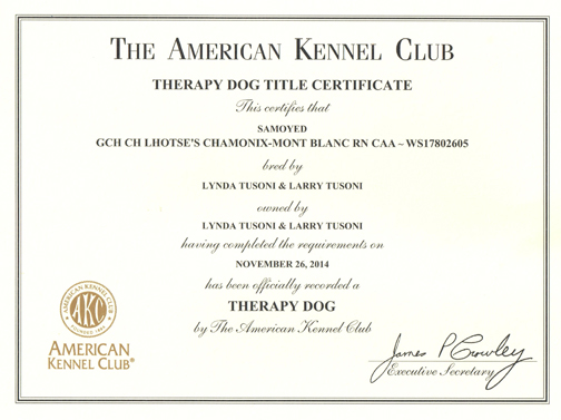 akc therapy dog title